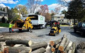 Best Storm Damage Tree Cleanup  in Portage, IN